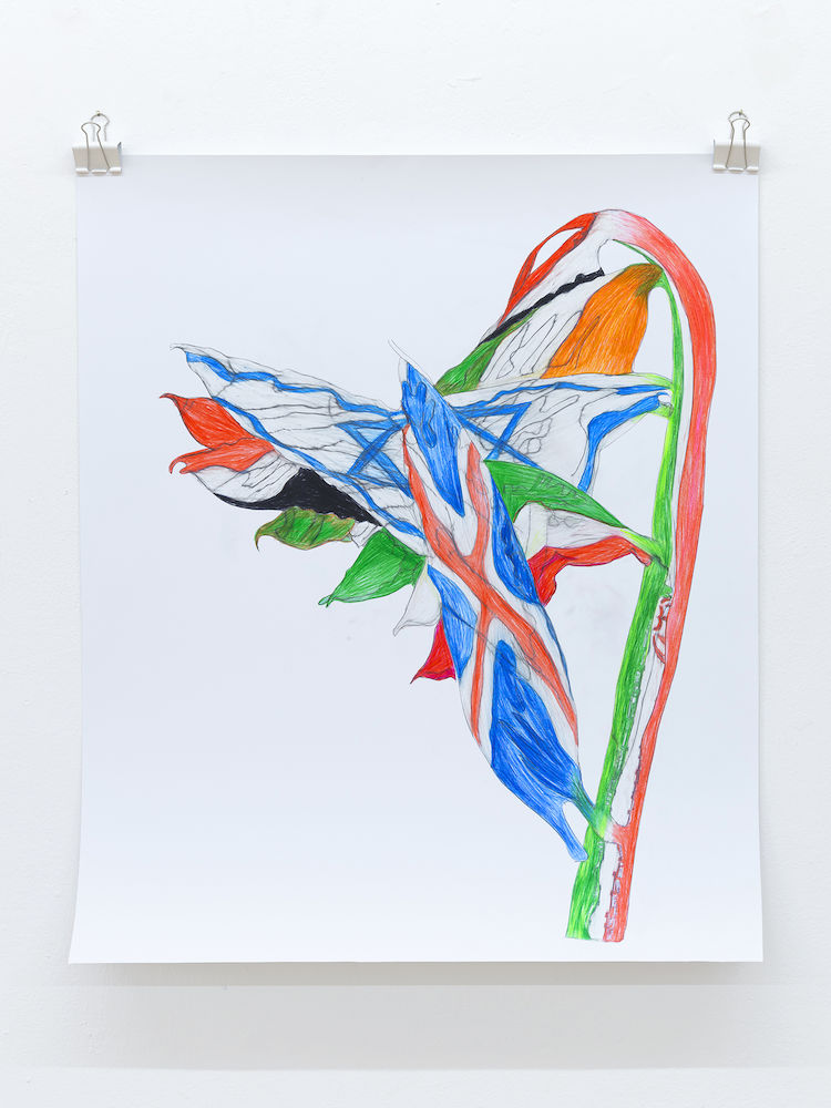 Flag 10 | Iceland with Italy, Israel, Ireland, Iran and Yemen | Uli Aigner 2019 | 91 x 76 cm | Colored pencil on paper