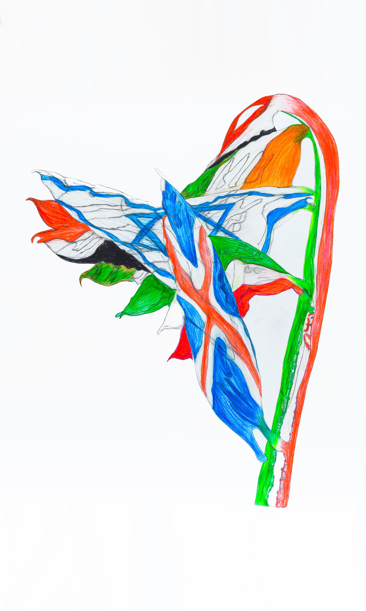 Multinational organisms. Flag 10 | Iceland with Italy, Israel, Ireland, Iran and Yemen | Uli Aigner 2019 | 91 x 76 cm | Colored pencil on paper